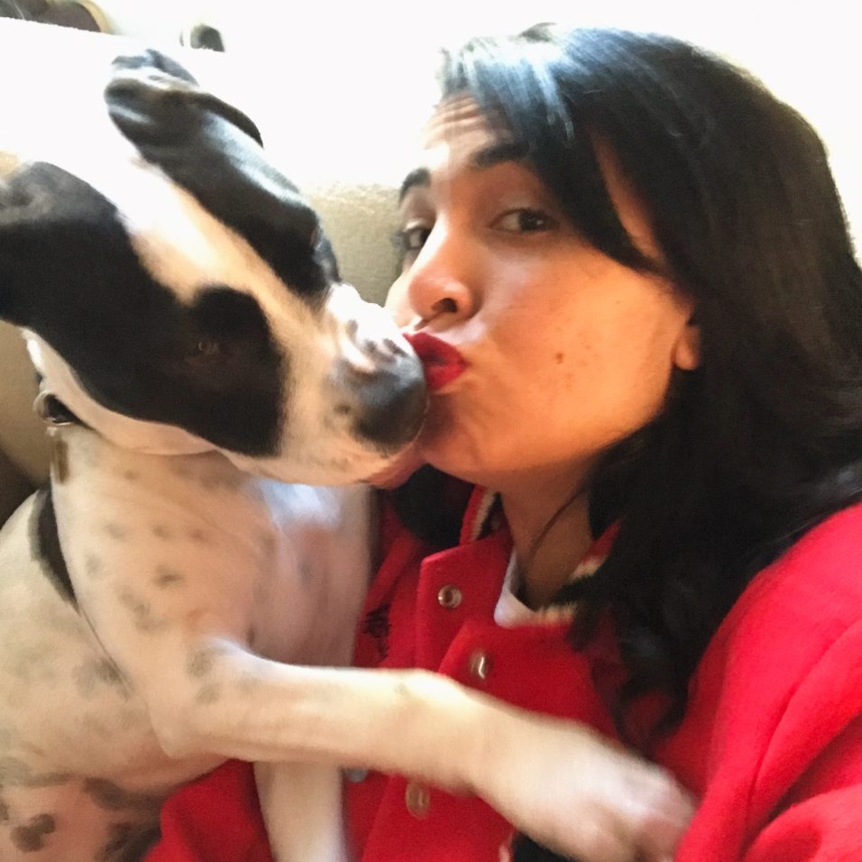 Best Dog Training in Los Angeles, CA iWorkDogs