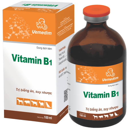 Cách sử dụng vitamin b1 thú y và tác động đến sức khỏe