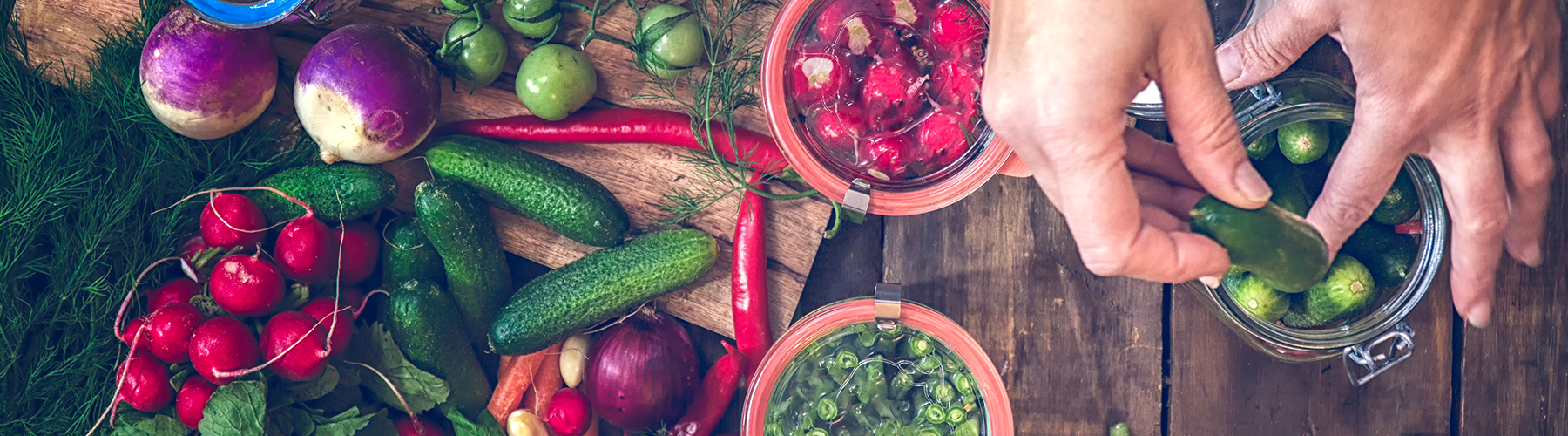 The Power of Sour Which Pickles Are Good for Your Gut?