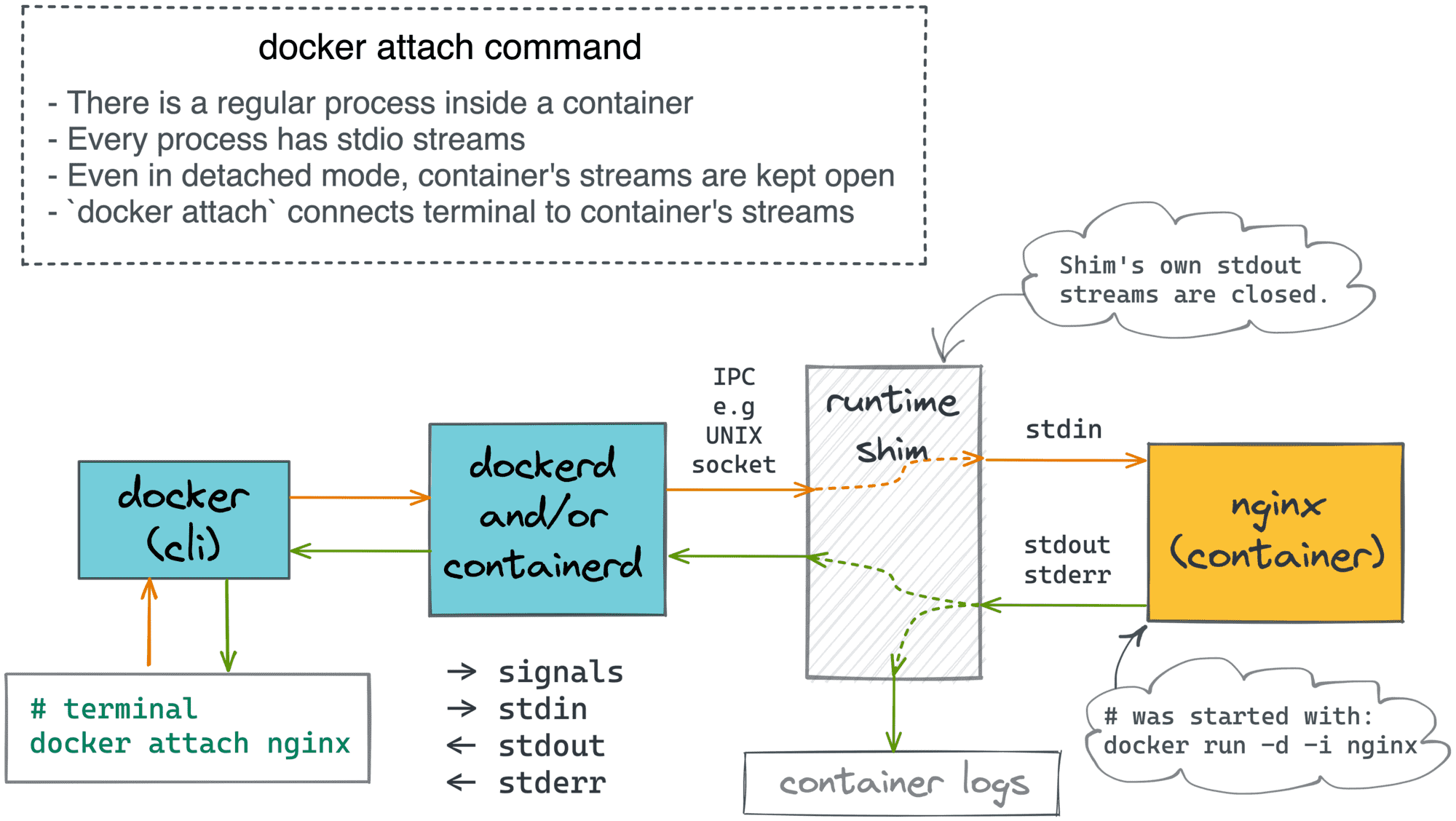 Containers 101 attach vs. exec what's the difference?