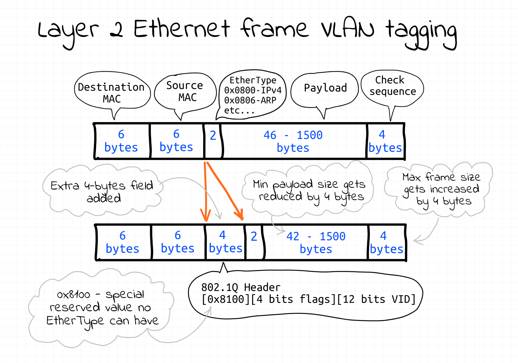 Networking Lab Simple VLAN