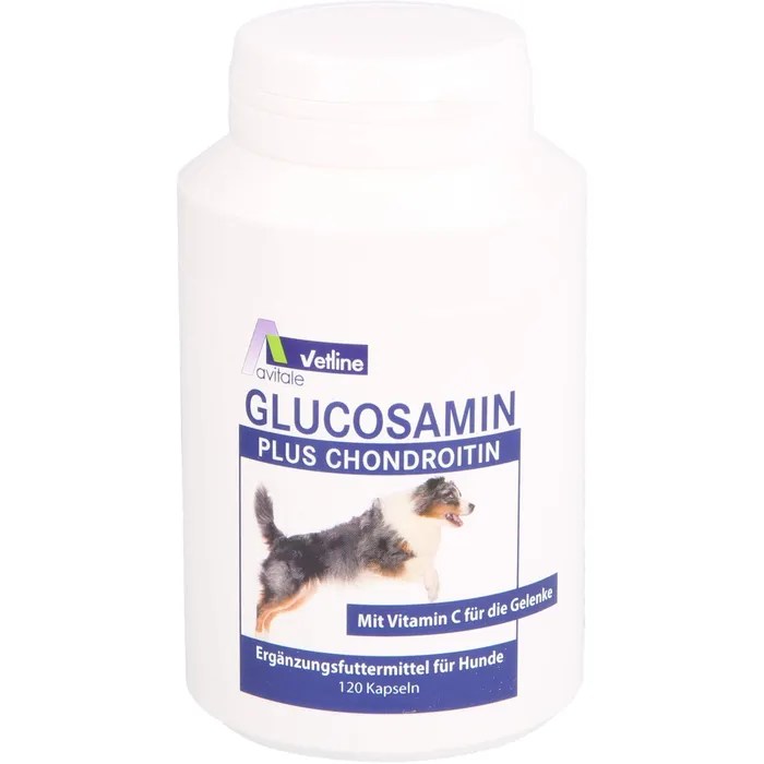 GLUCOSAMIN+CHONDROITIN Kapseln für Hunde 120 St Tiergesundheit Disapo.de Sortiment (ID
