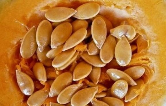 Pumpkin Seeds During Pregnancy Health Advisor