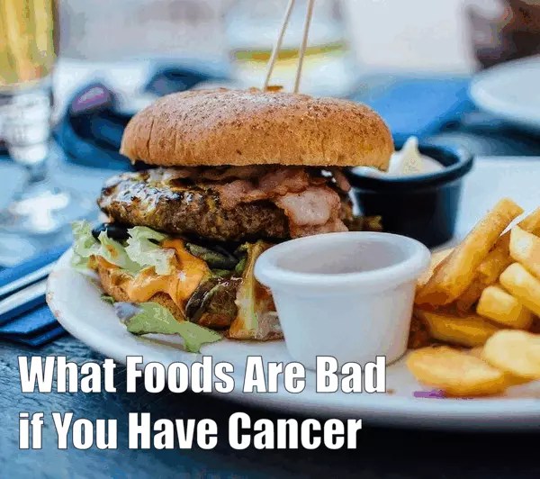 What Foods Are Bad if You Have Cancer Tips for Healthy Life
