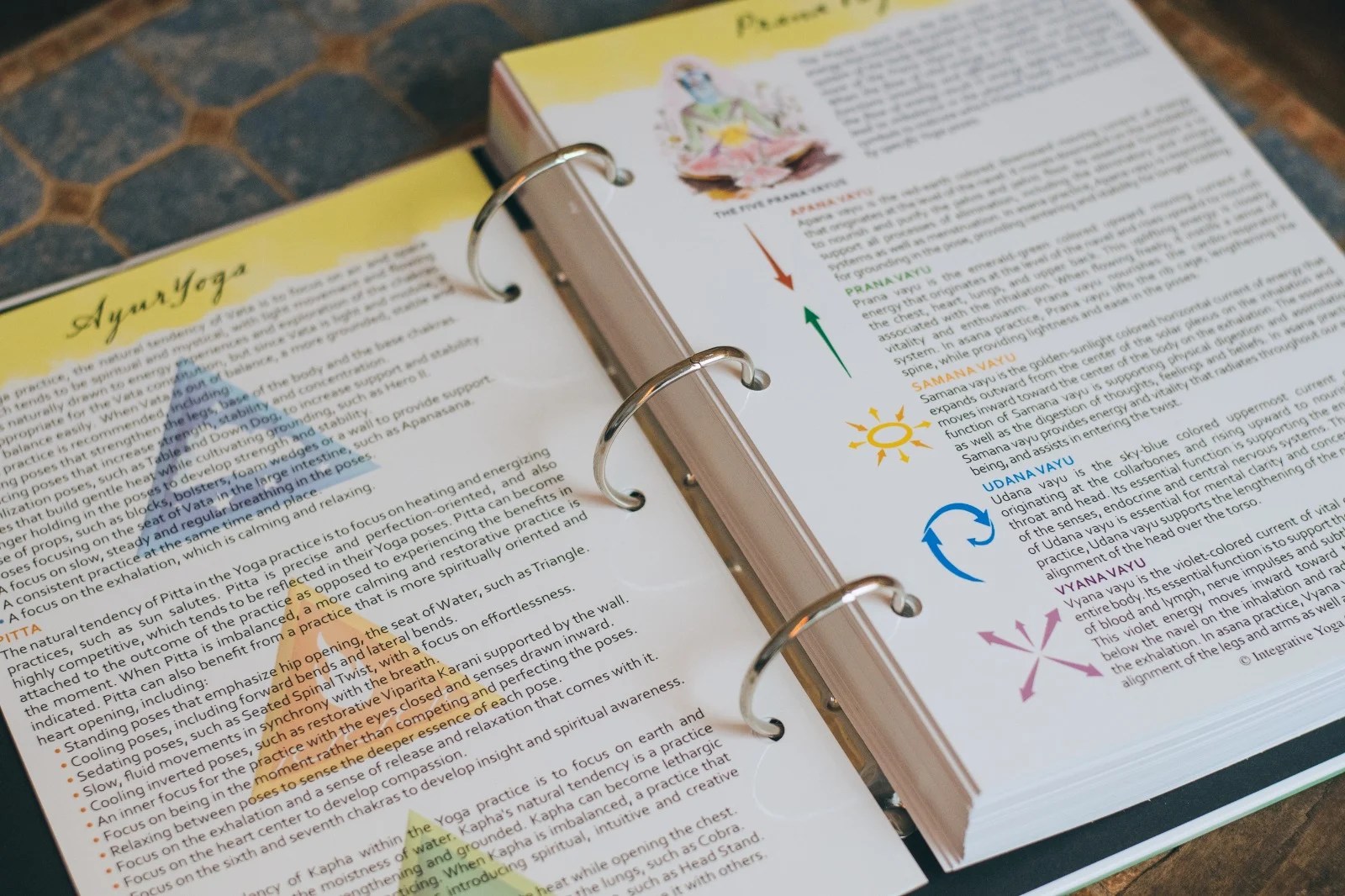 Yoga Toolbox for Teachers and Students Integrative Yoga Therapy