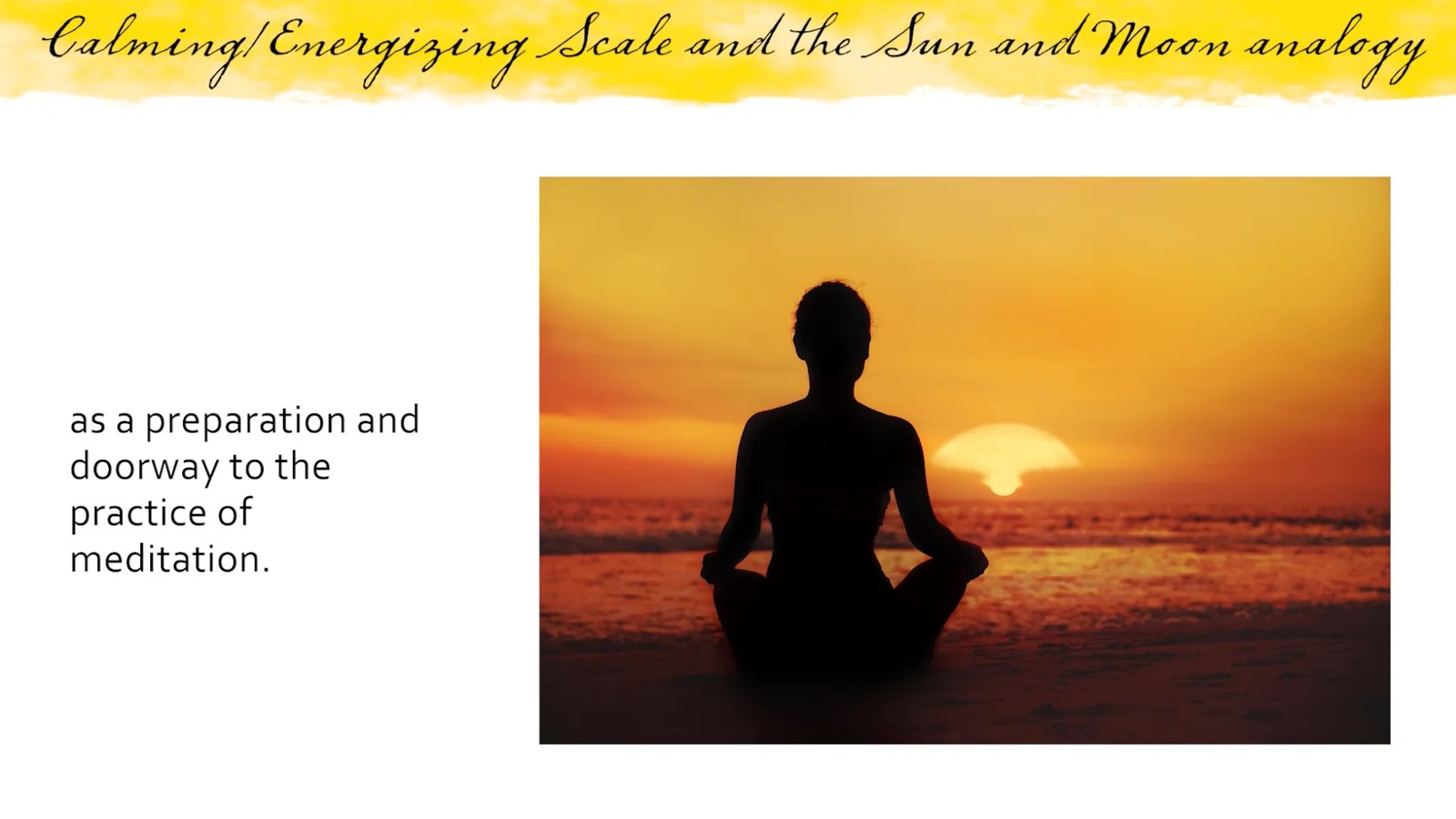 Yoga Toolbox Online version and Ebook Integrative Yoga Therapy