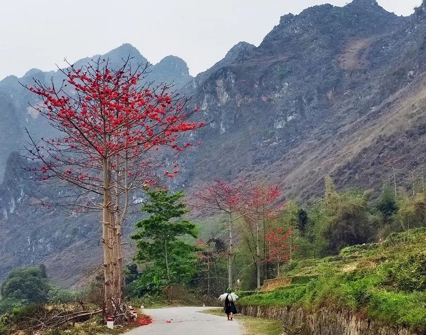 A Travel Guide to Visit Vietnam in April 2025 Izitour