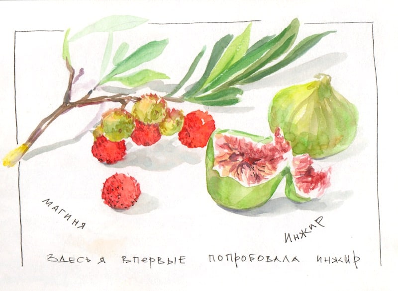что нарисовать в скетчбуке для новичка