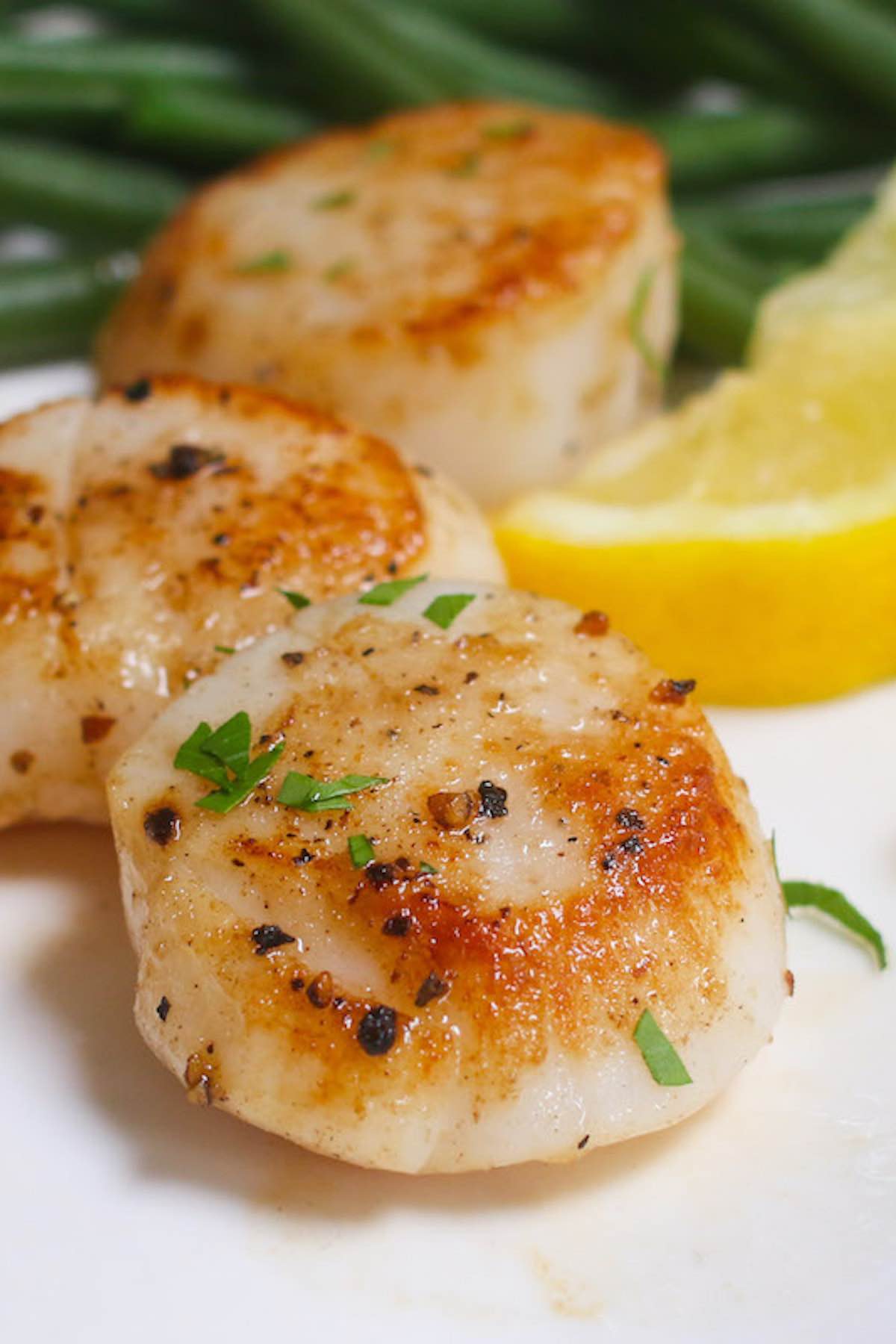 Perfectly Tender Sous Vide Scallops with Lemon and Butter