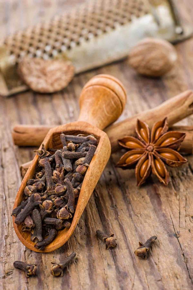 6 Best Cardamom Substitutes