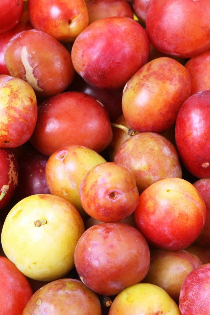 16 Popular Foods that Start with V (Fruits, Snacks, Drinks and More)