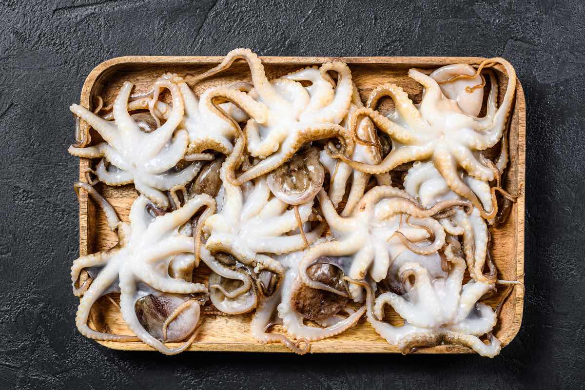 Easy Crispy Fried Baby Octopus Recipe IzzyCooking