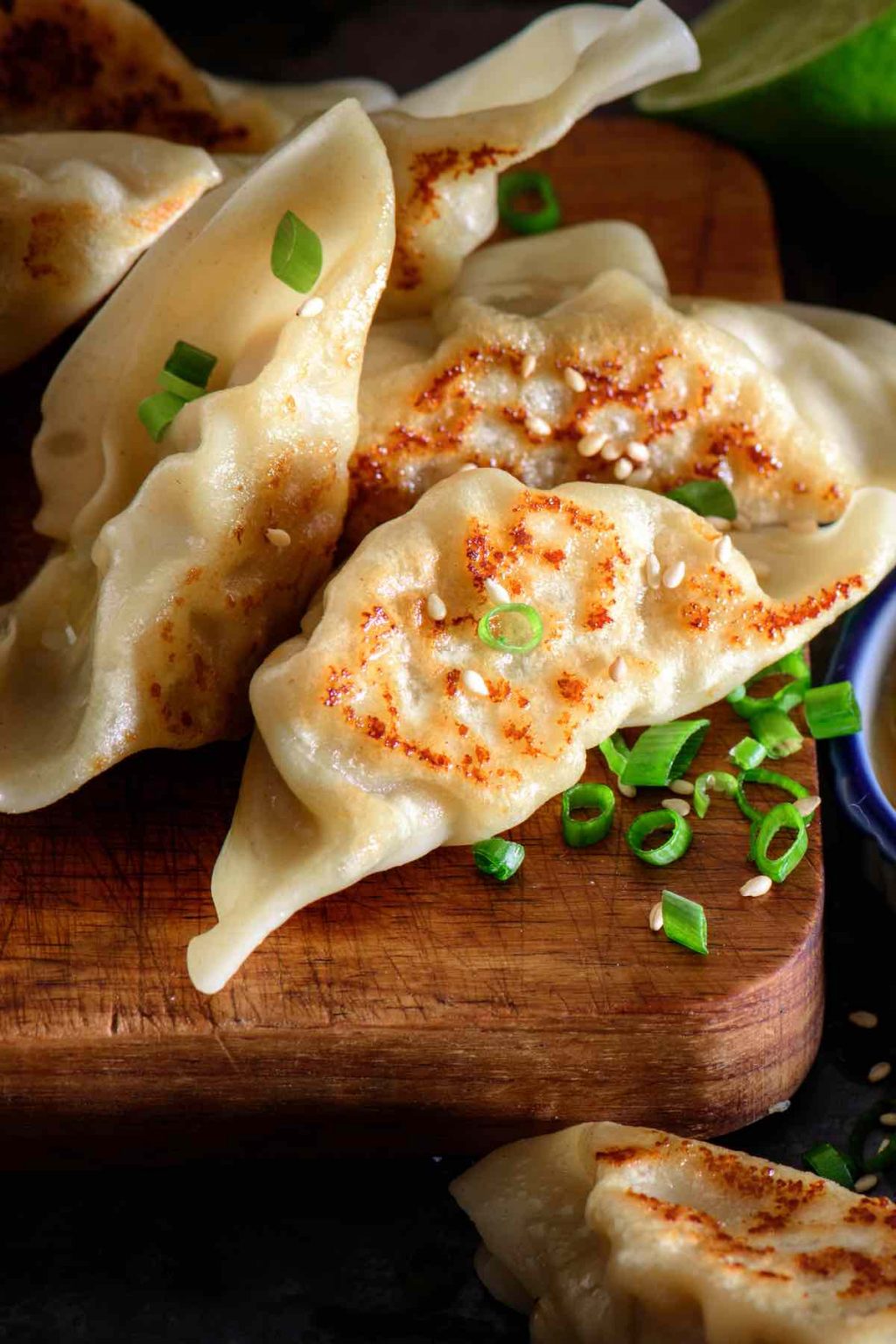 Peking Ravioli (Pan Fried Peking Dumplings) IzzyCooking