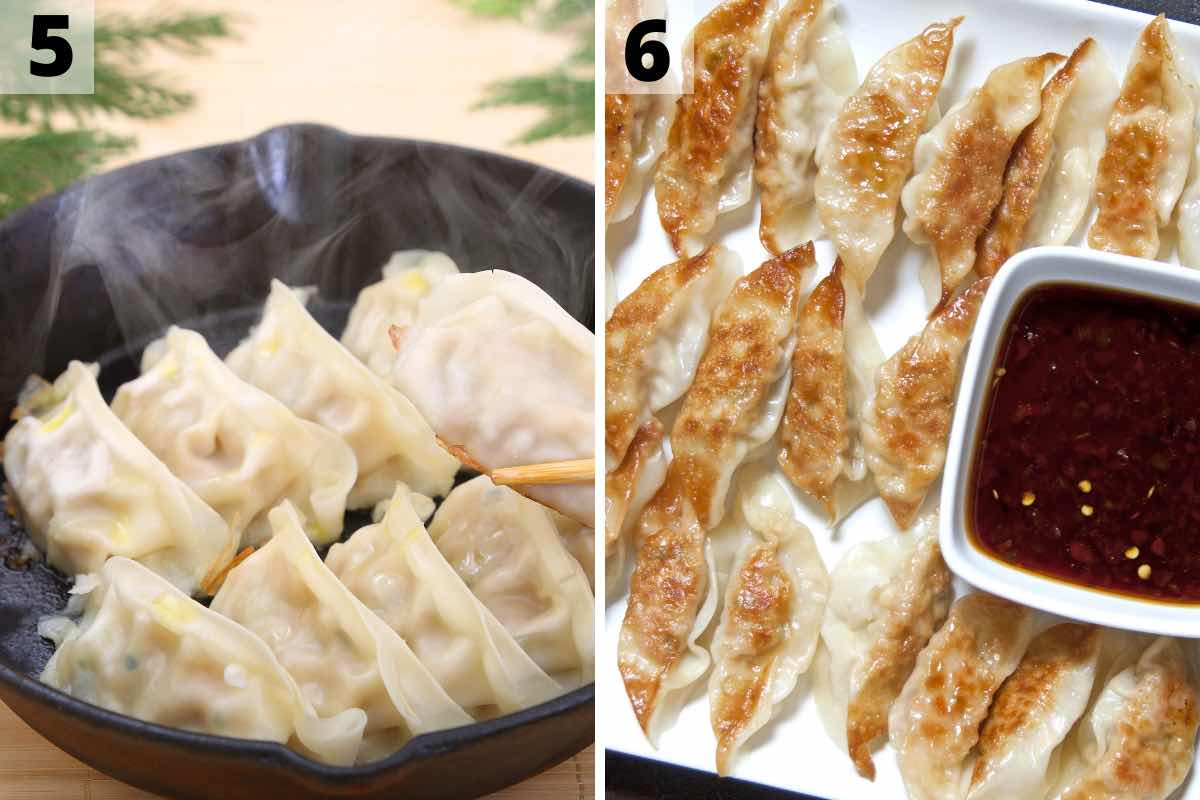 Peking Ravioli (Pan Fried Peking Dumplings) IzzyCooking