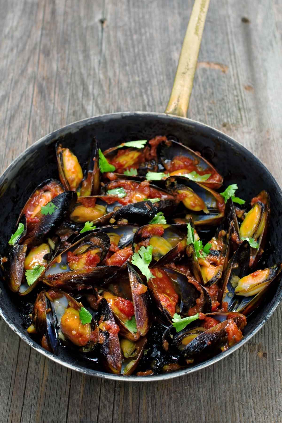 Black Mussels (Difference Between Green and Black Mussels) IzzyCooking