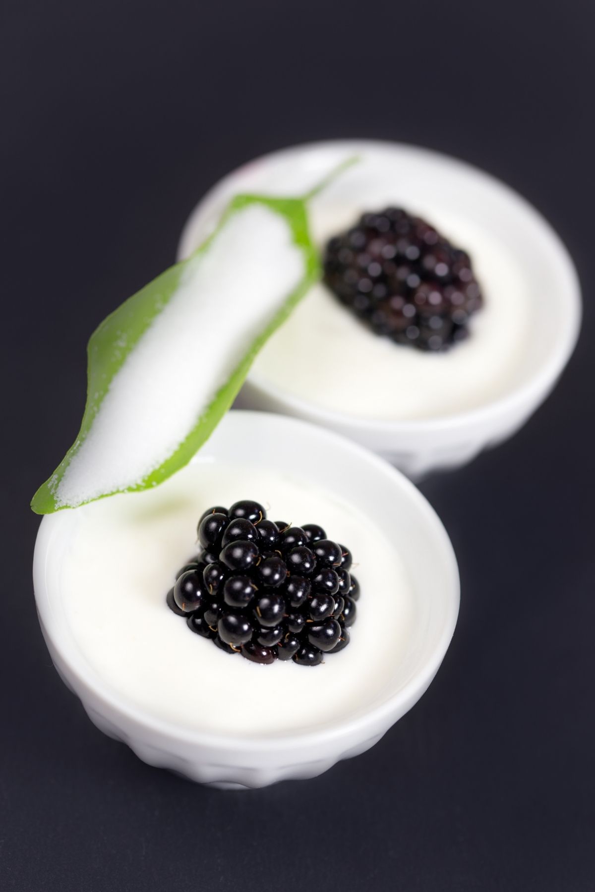 13 Best Best Substitute for Ricotta Cheese (in Lasagna, Gnocchi, and