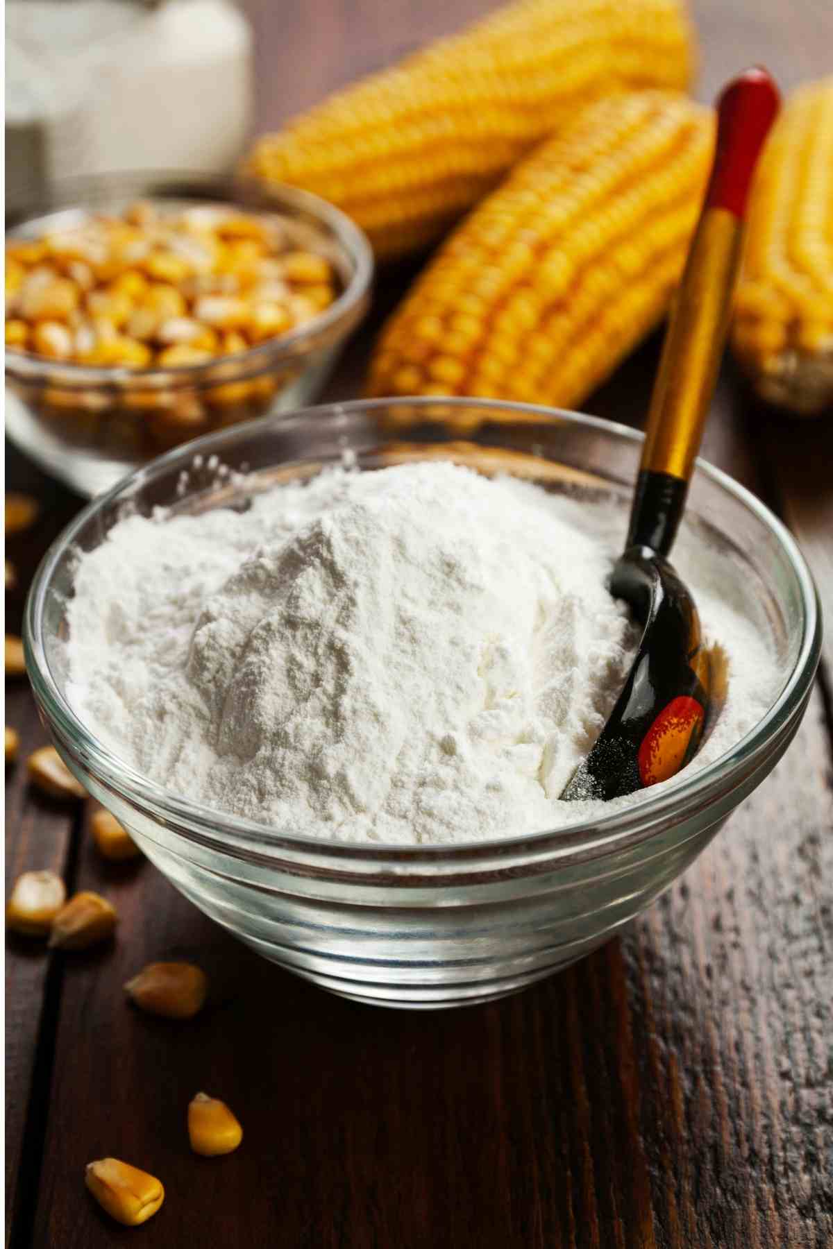 6 Best Xanthan Gum Substitutes IzzyCooking