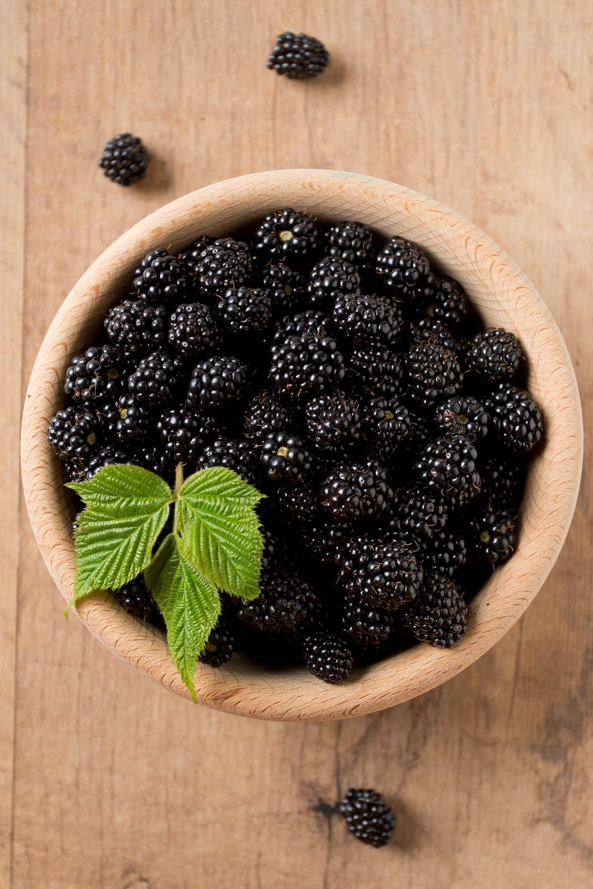 22 Best Blackberry Recipes That Are Easy To Make At Home IzzyCooking