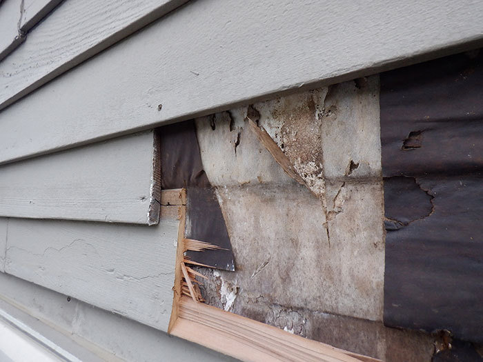 Peeling Paint Commercial Buildings Apartment Building Swelling Wood