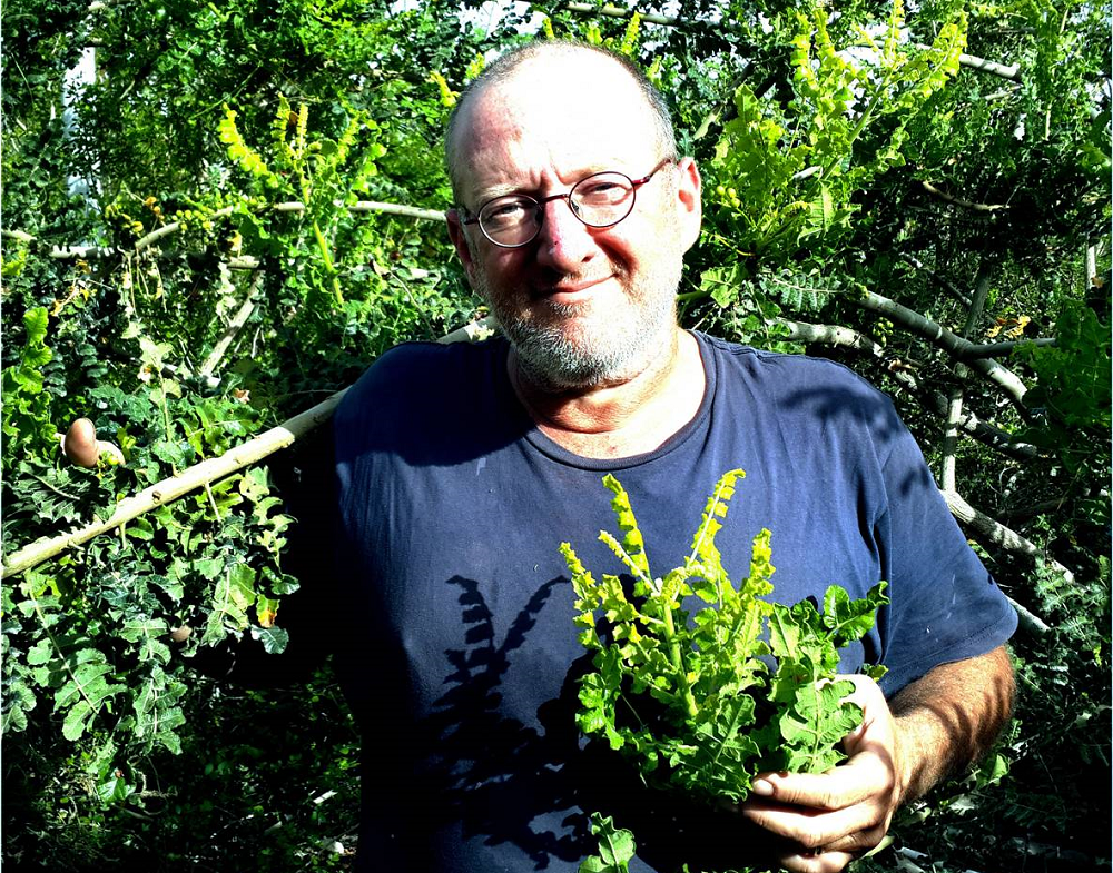 Ладан и смирна возвращаются в Израиль ЯТора