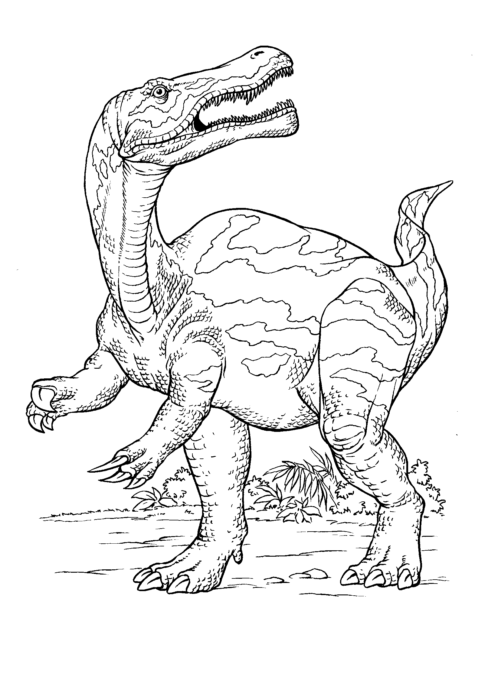 ぬりえ 恐竜狩り