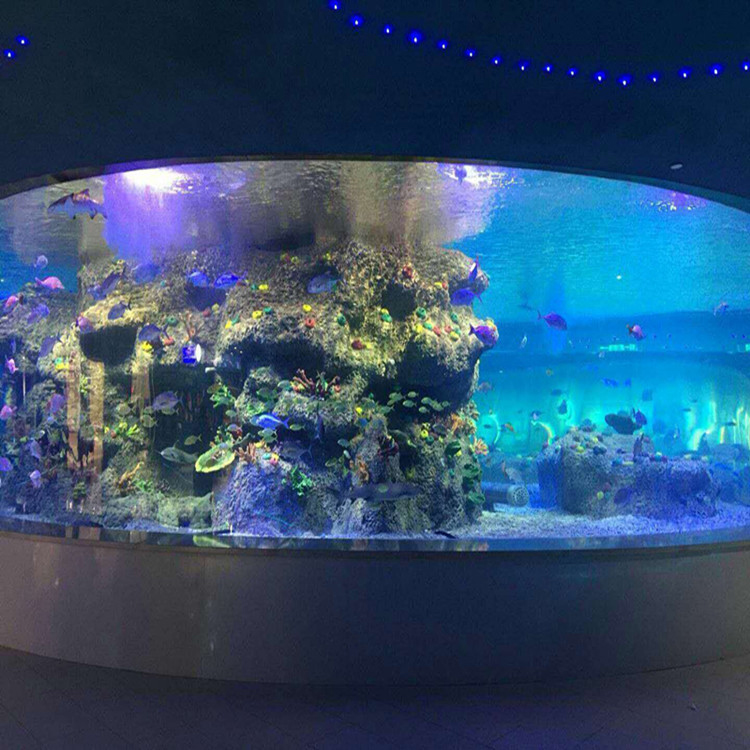 工場供給魚ボウル、ラウンドガラスタンク水族館 Yuejingアクリル