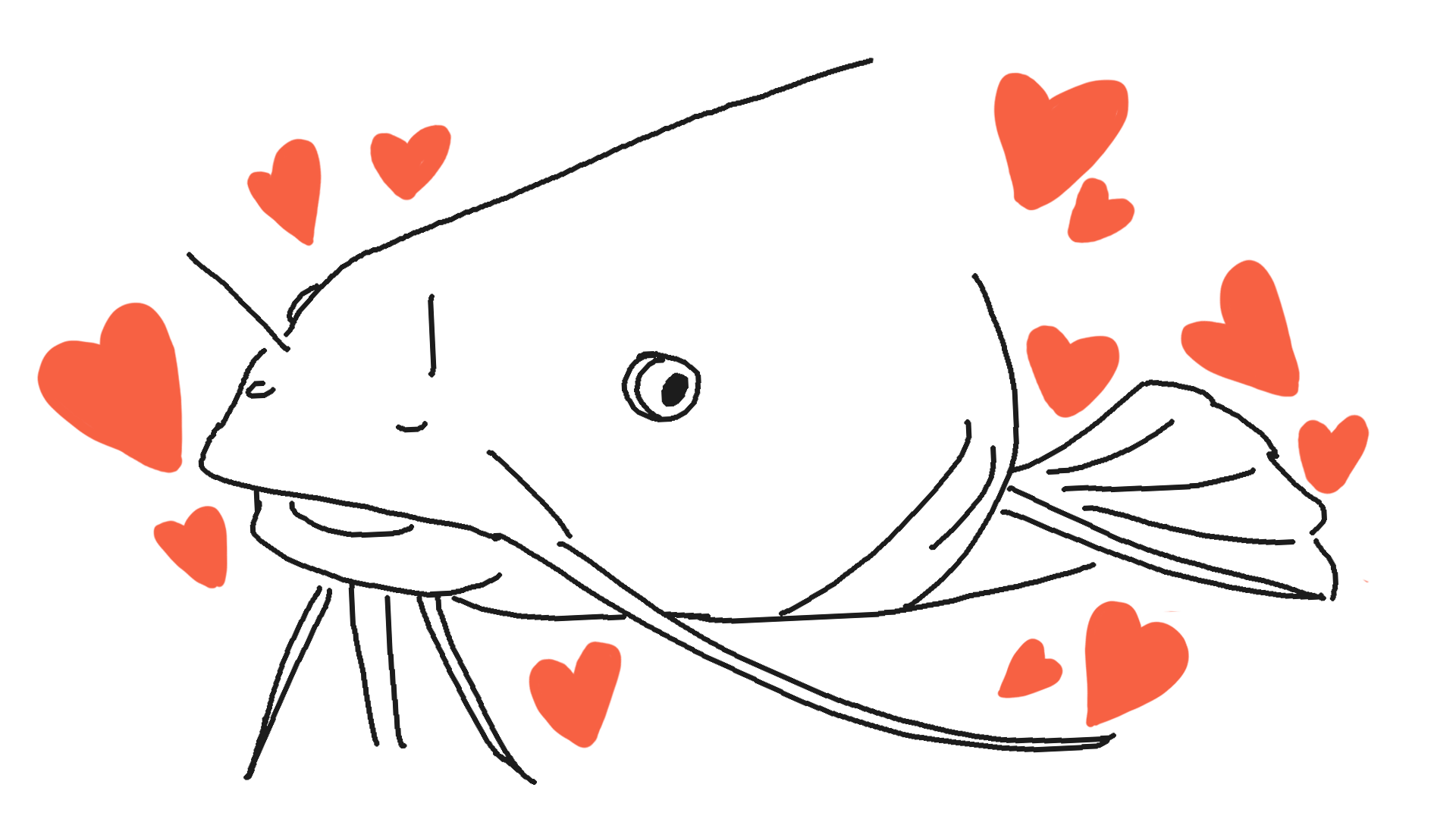 Graphics and Illustration Jac Alford