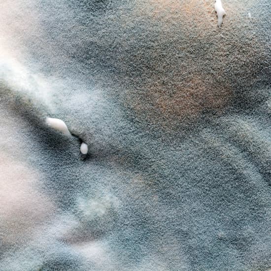 Can black mold grow in cold temperatures? JacAnswers