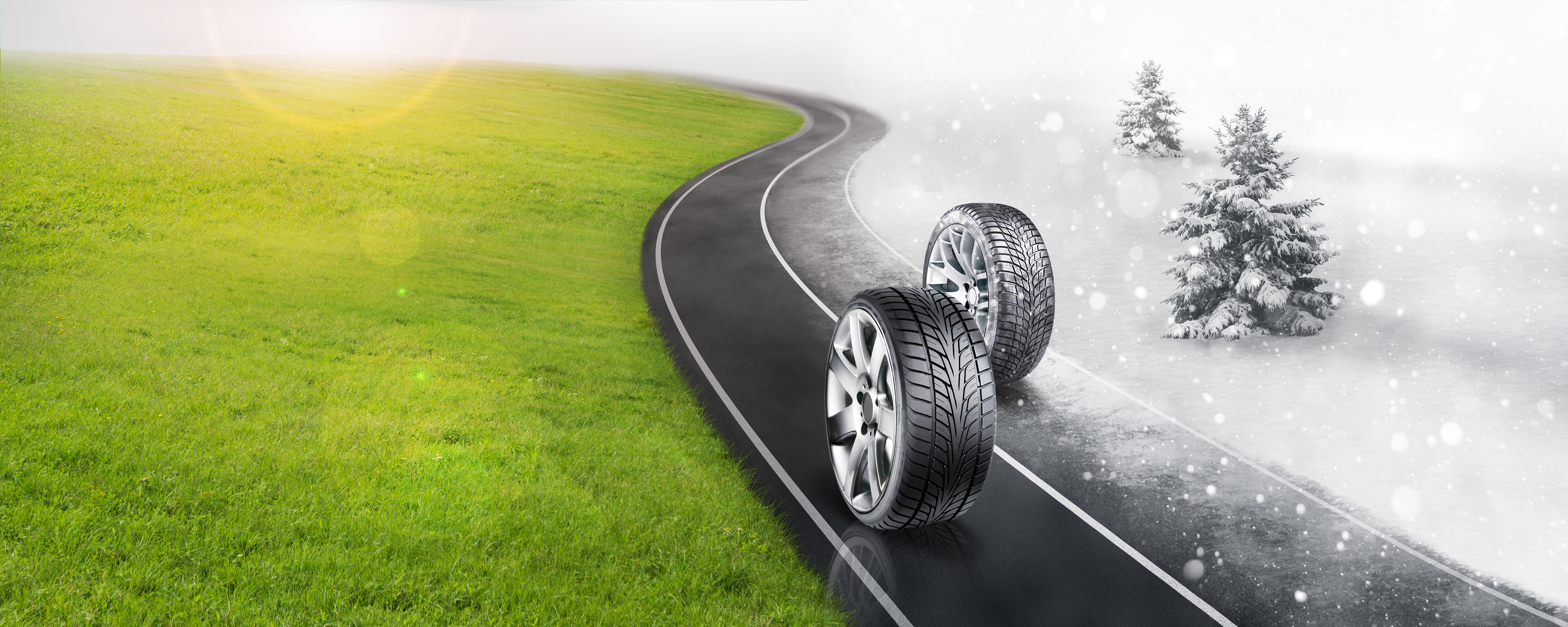 Why you need winter tires when you're driving to Florida Jack and