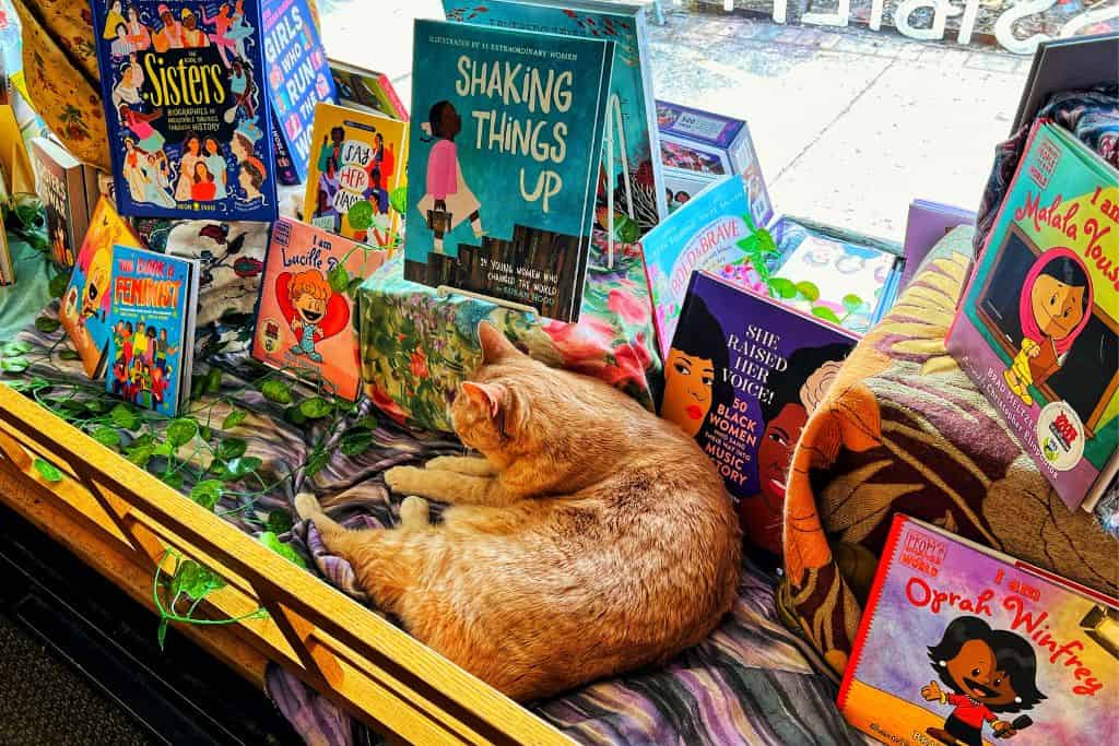 Wild Rumpus Books in Minneapolis It's Magical for Young Readers