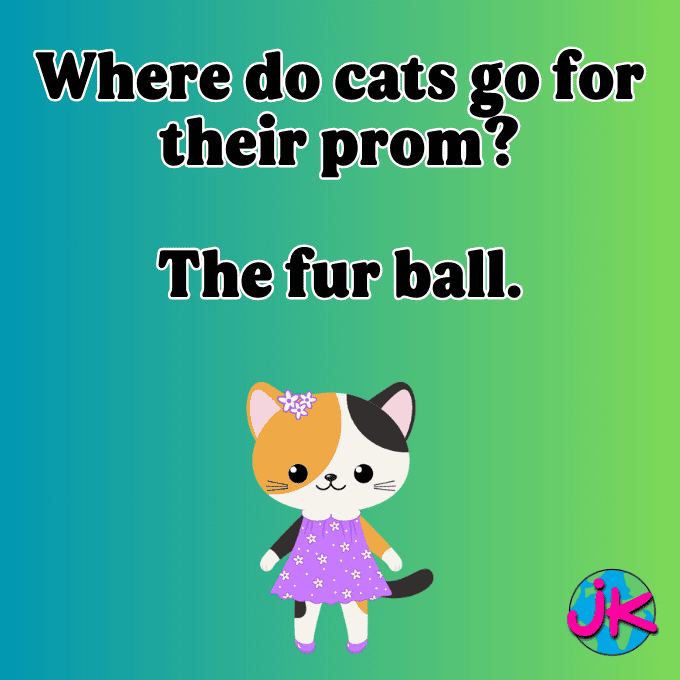 Jokes About Prom Hilarious Prom Jokes to Make Your Date LOL!
