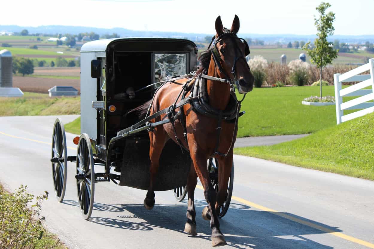 Escape To A Simpler Life In Clare, Michigan Charming Amish Town