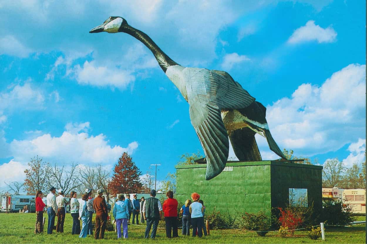 Perfect Selfie Spot World's Largest Goose In Sumner, Missouri!