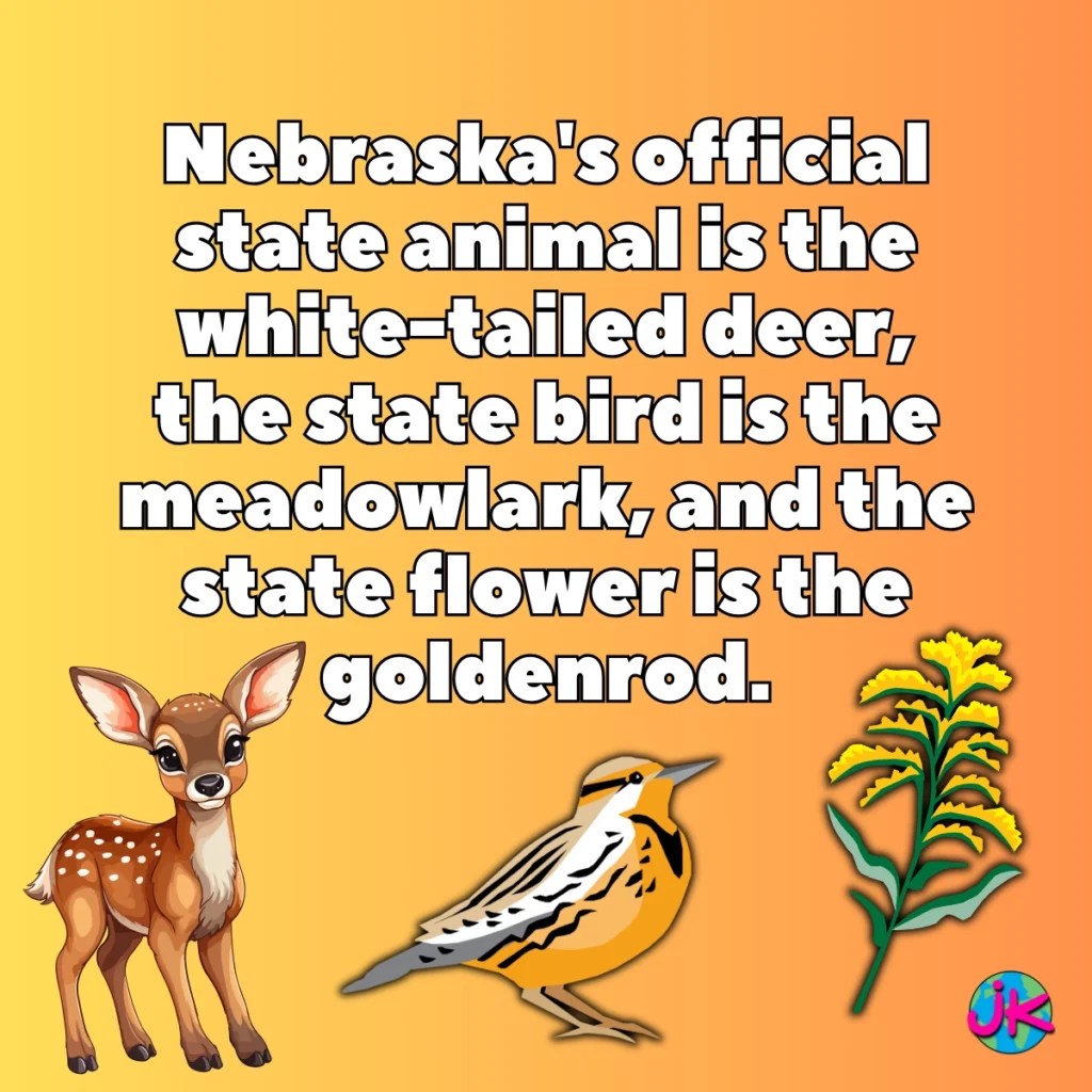 Fun Facts About Nebraska Learn About The Cornhusker State!