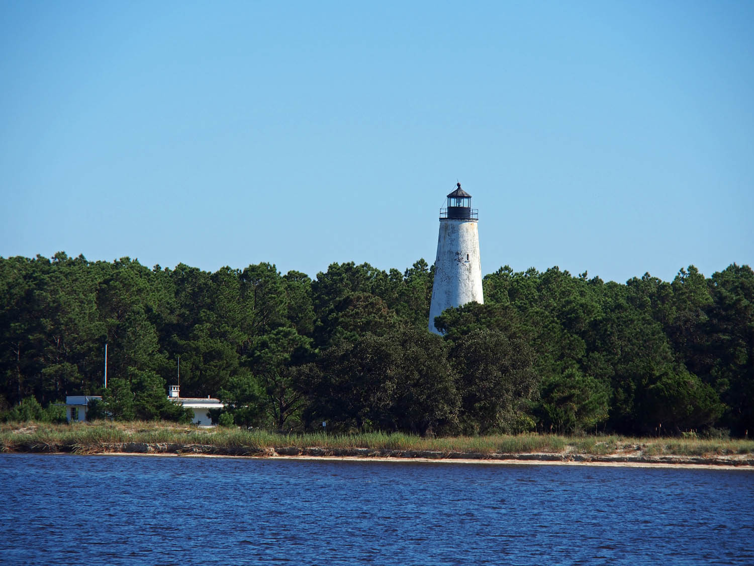 ‘Home’ to Jacksonville Jack & Sue