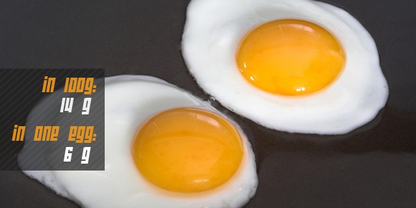 Top 14 Foods Highest in Protein for Muscle Building