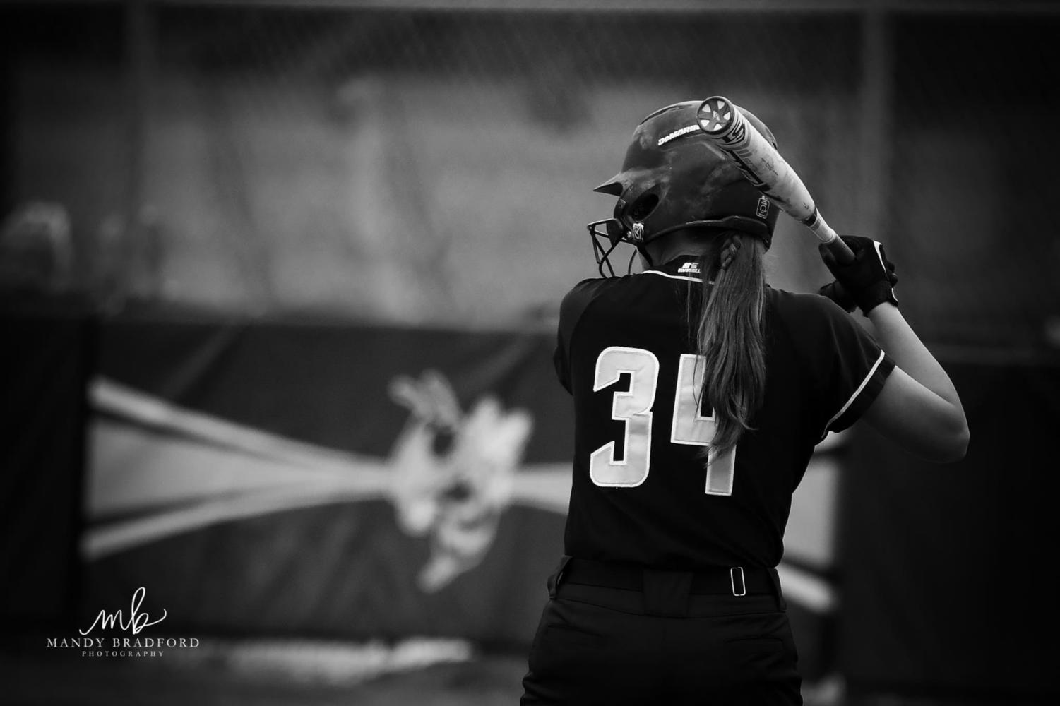 Lady Yellow Jacket Softball Advances to Regionals The Jacket Journal