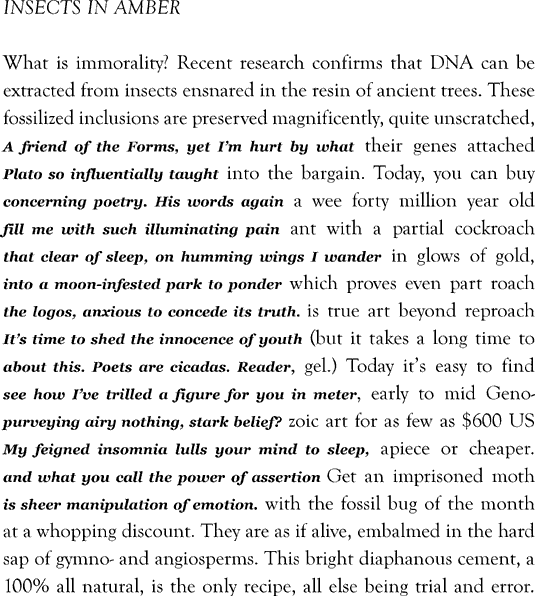 heidi montag fashion funny best friend poems