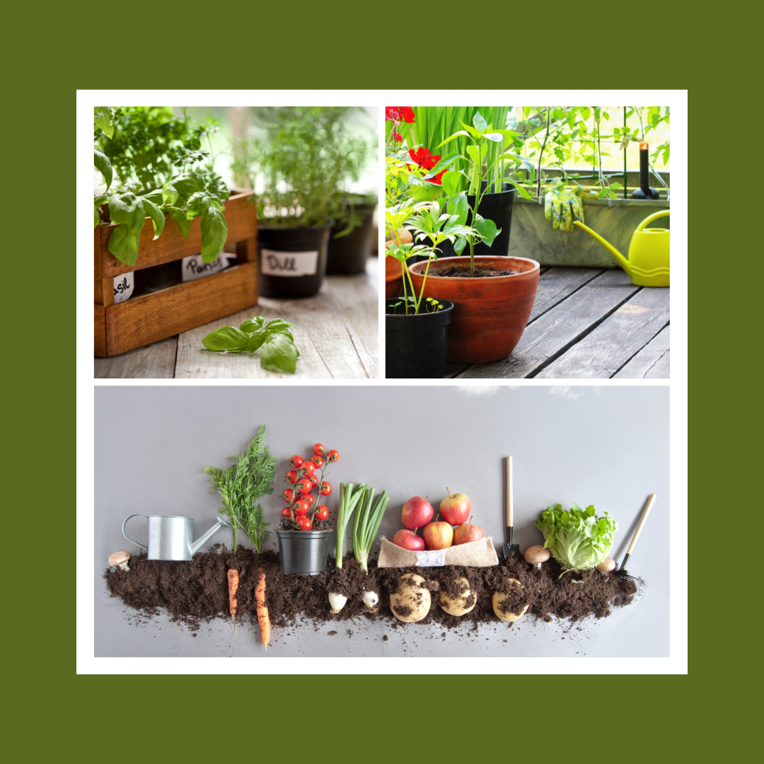 Tips for Growing Vegetables in Containers Jacki Kellum