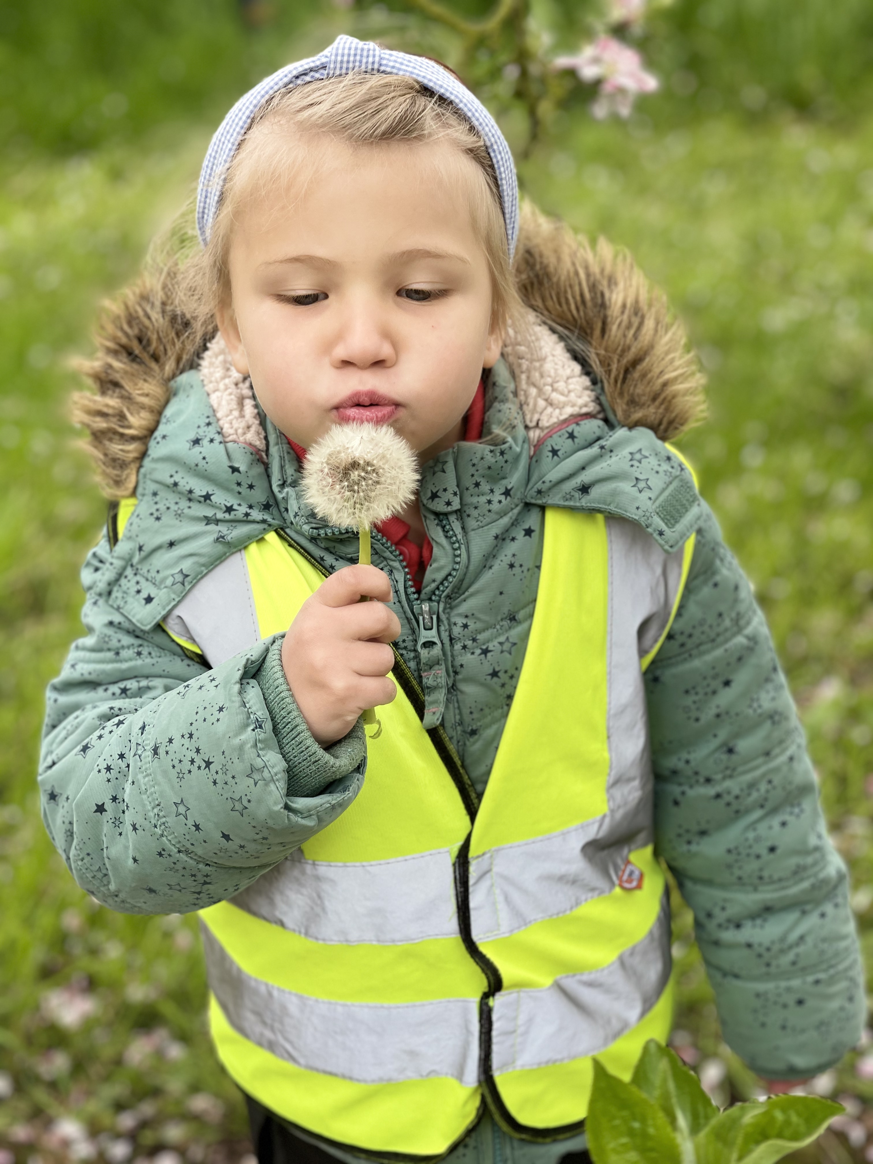 A Home from Home Jack in the Box Nursery and Forest School, Bosbury