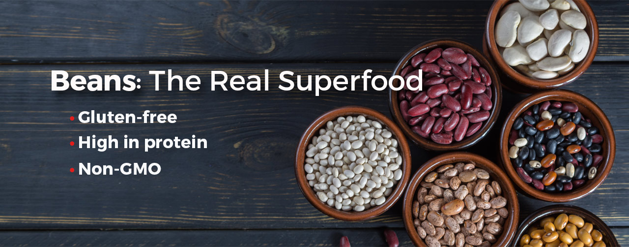 Home Jack Rabbit Beans