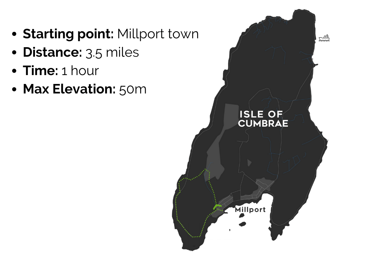The Ultimate Guide to Millport, Isle of Cumbrae