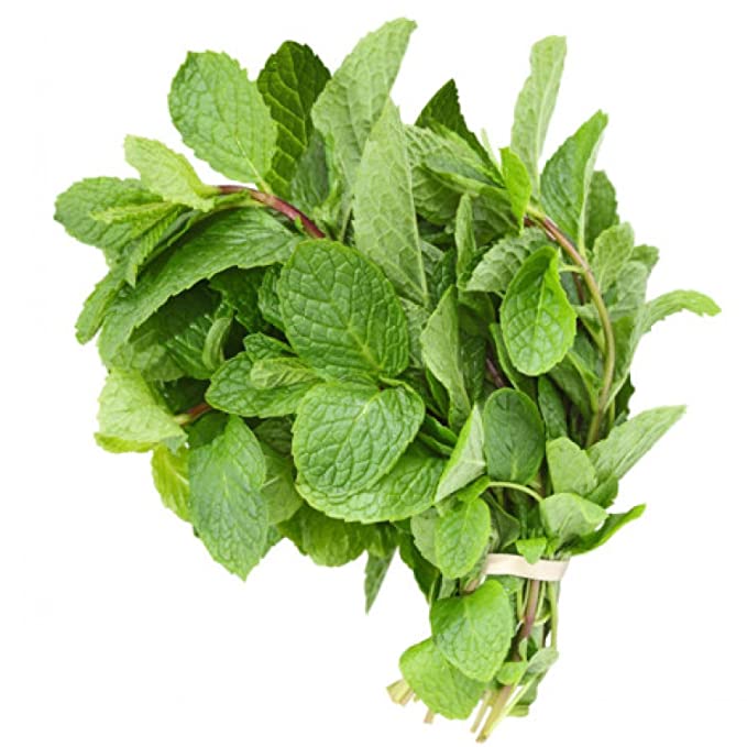 Herb Mint (by the 1/4 lb) Jack Scalisi