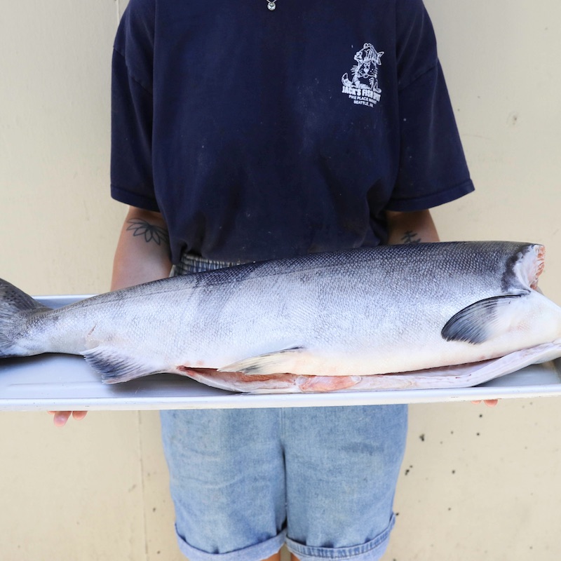Fresh Whole King Salmon Jack's Fish Spot