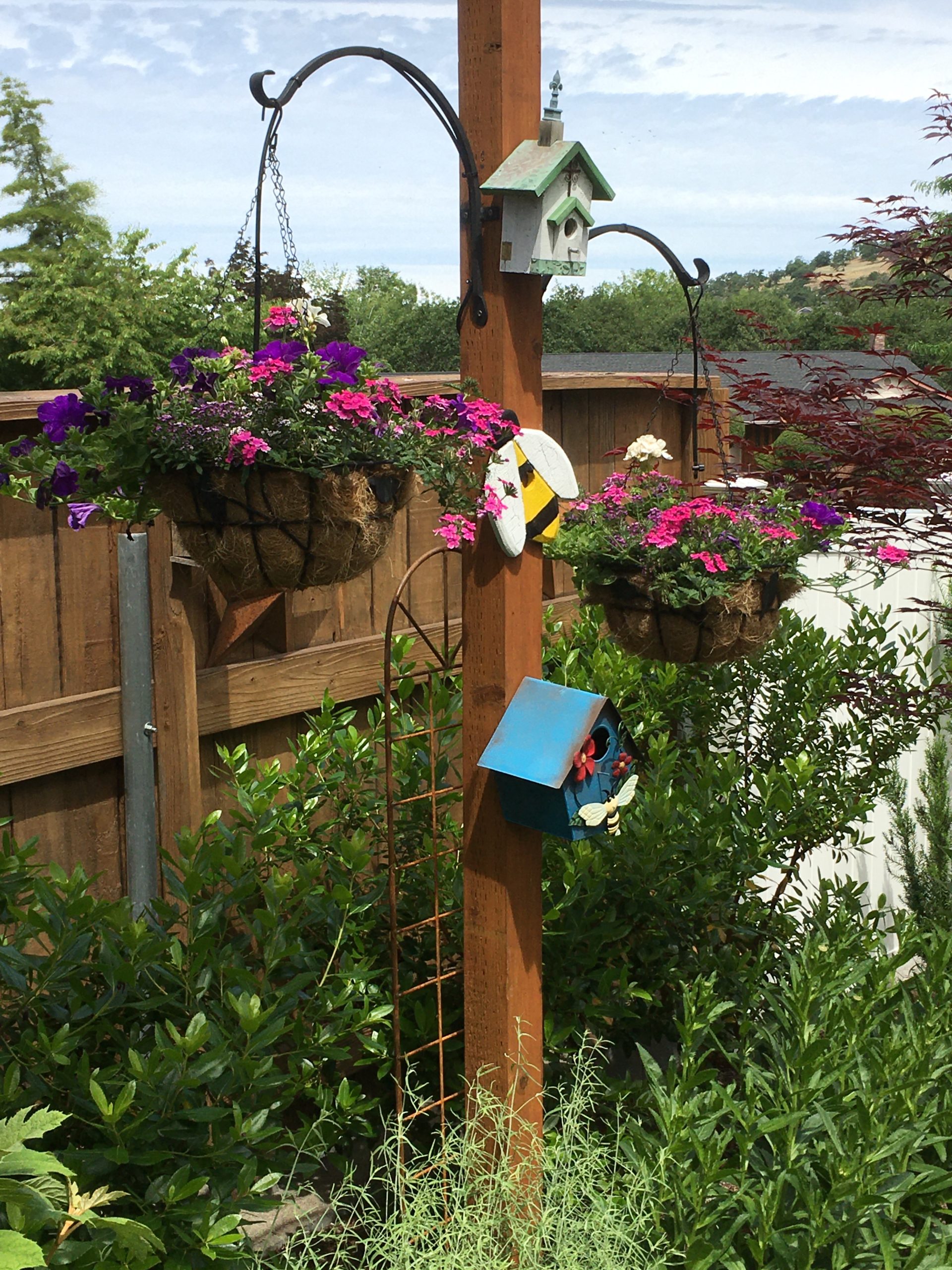 Jackson County Master Gardener Association Board Meeting (by Zoom