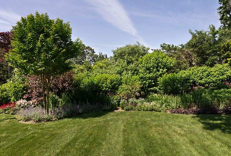 Springs, East Hampton Traditional Jackson Dodds & Company Inc.