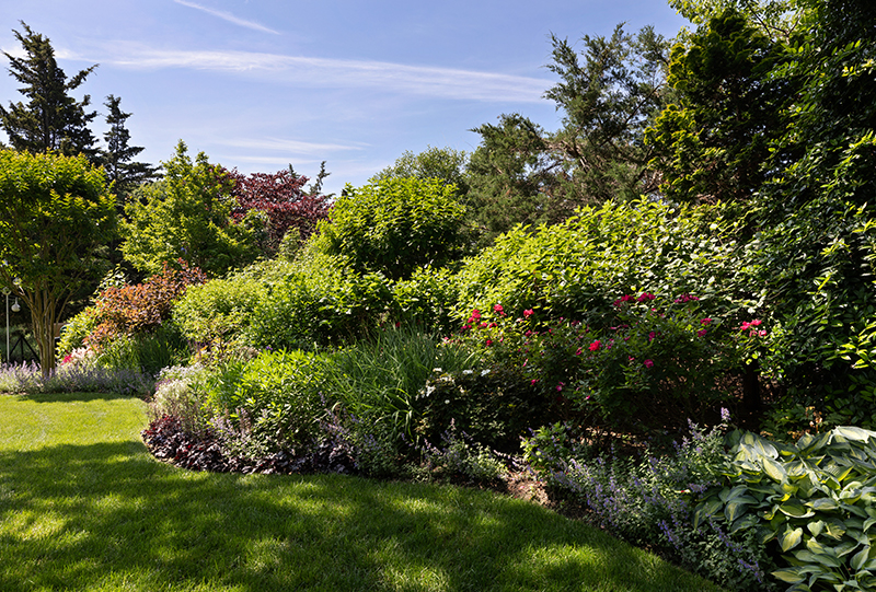 Springs, East Hampton Traditional Jackson Dodds & Company Inc.