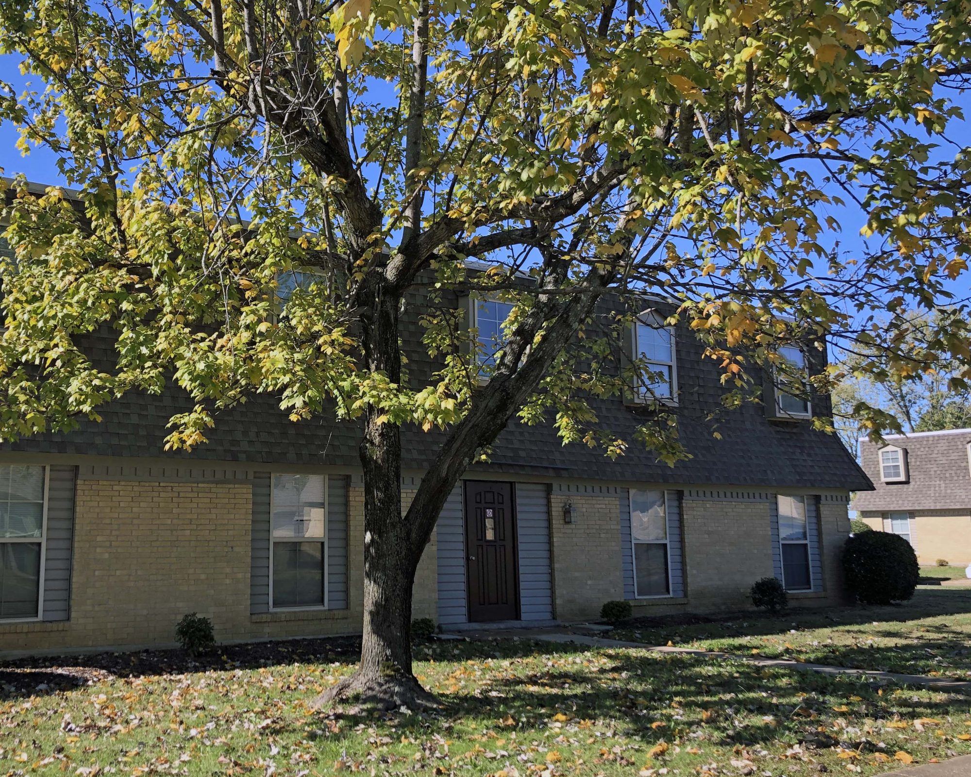 History Jackson Housing Authority