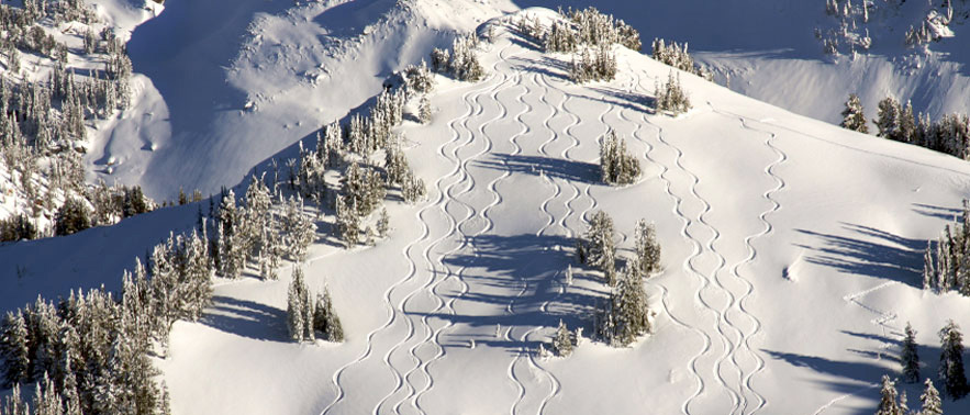 Winter RV Park Winter Campground & RV Sites Jackson Hole Campground