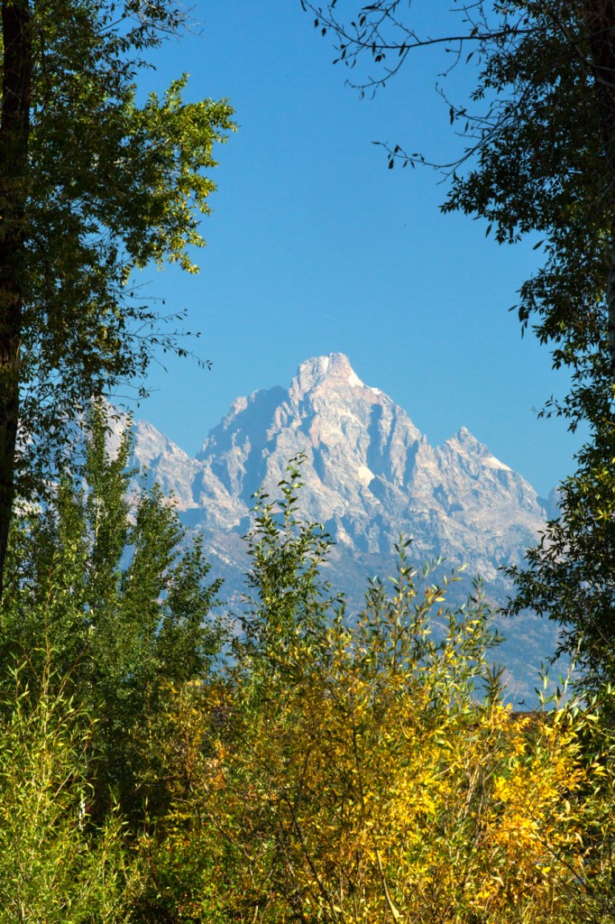 Luxury Cabin Vacation Rental at Jackson Hole Golf and Tennis
